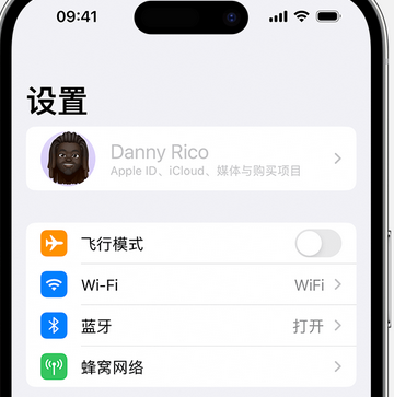 偃师appleID维修服务iPhone设置中Apple ID显示为灰色无法使用 