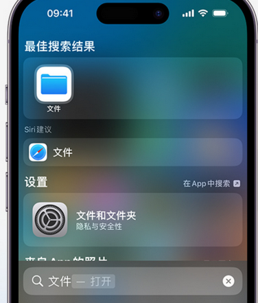 偃师apple维修中心分享iPhone文件应用中存储和找到下载文件 