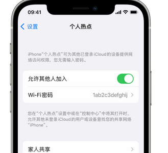 偃师apple服务站点分享iPhone上个人热点丢失了怎么办 