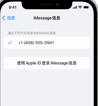 偃师apple维修iPhone上无法正常发送iMessage信息 