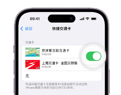 偃师apple维修点分享iPhone上更换Apple Pay快捷交通卡手绘卡面 