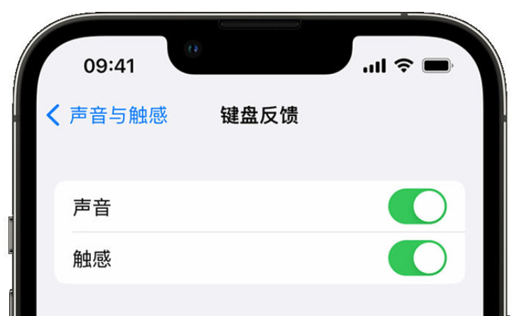 偃师苹果手机维修分享iPhone 14触感键盘使用方法 