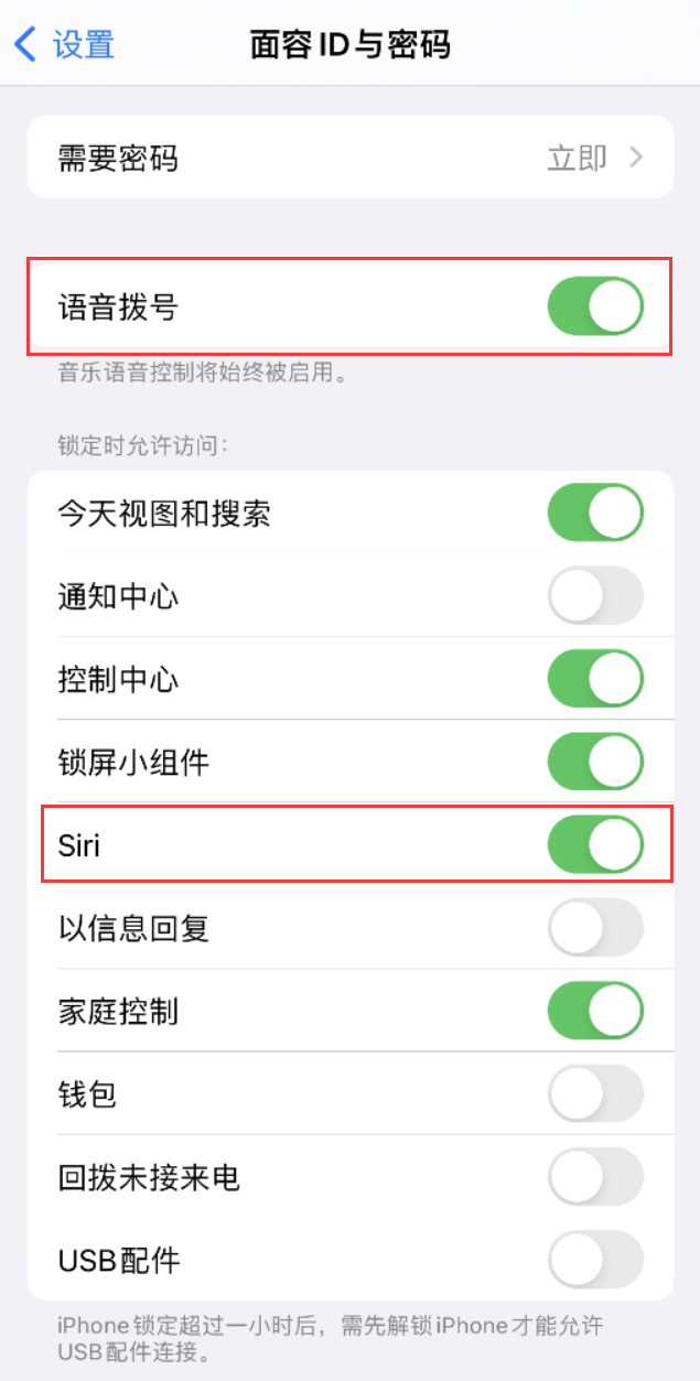 偃师苹果维修网点分享不解锁 iPhone 的情况下通过 Siri 拨打电话的方法 