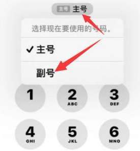 偃师苹果14维修店分享iPhone 14 Pro Max使用副卡打电话的方法 