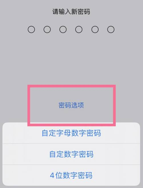 偃师苹果14维修分享iPhone 14plus设置密码的方法 