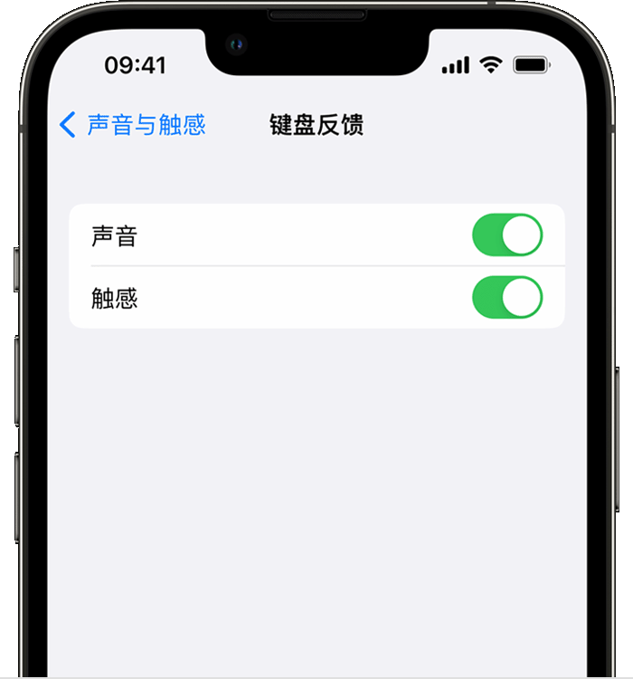 偃师苹果14维修分享iPhone 14 系列机型如何开启键盘声音或触感反馈 