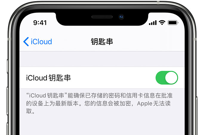 偃师苹果手机维修分享在 iPhone 上开启 iCloud 钥匙串之后会储存哪些信息 