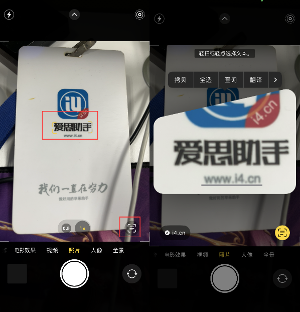 偃师苹果手机维修分享升级iOS 16后如何通过相机翻译文本 