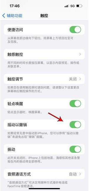 偃师苹果手机维修分享iPhone手机如何设置摇一摇删除文字 