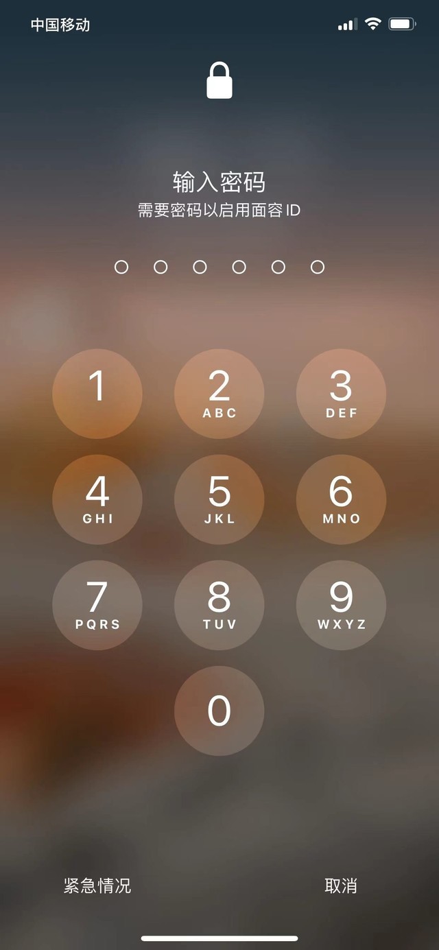偃师苹果13维修分享iPhone 13加强锁屏功能有什么用 