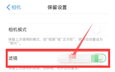 偃师苹果13维修分享iPhone13拍照有绿点是怎么回事 