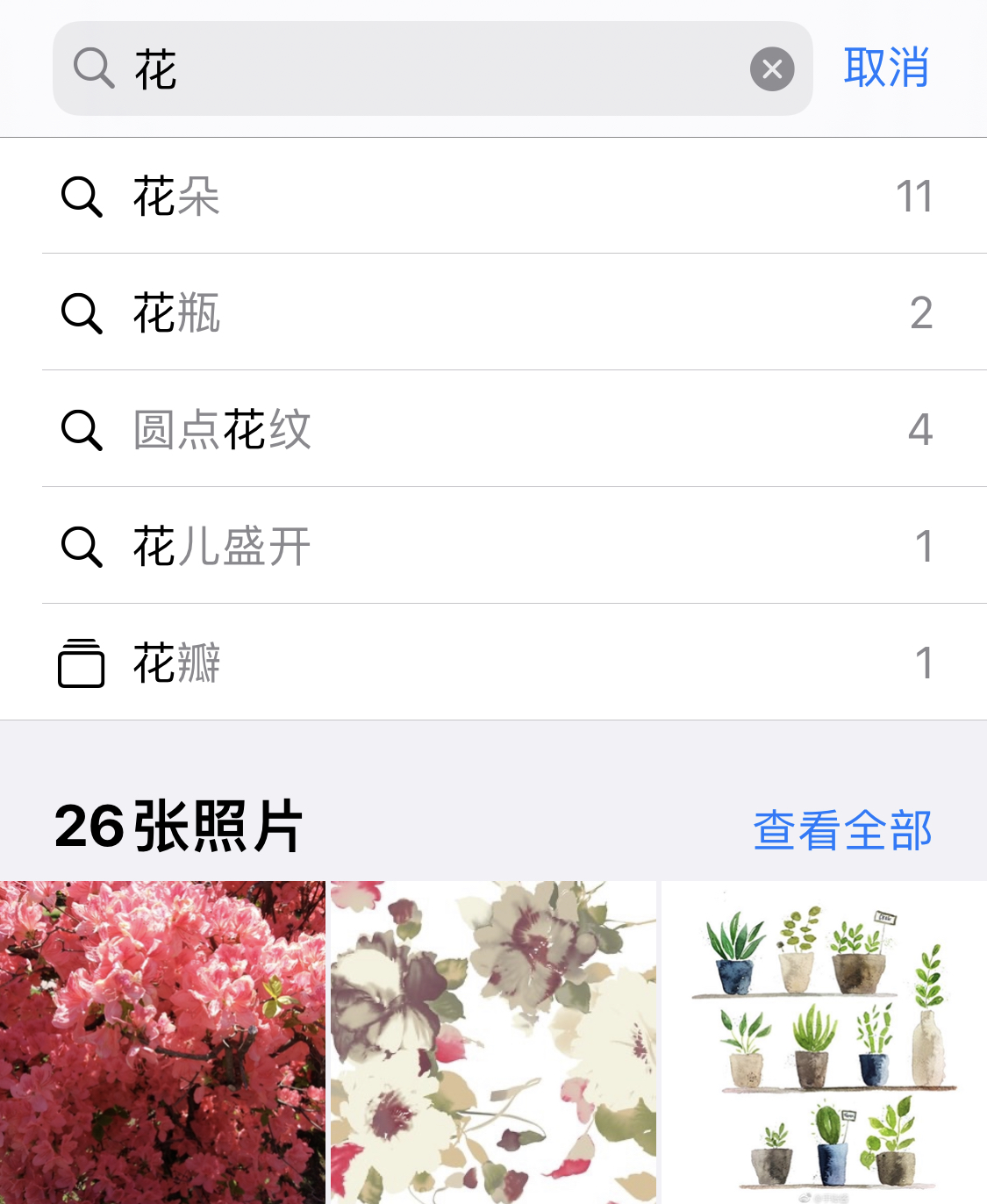 偃师苹果手机维修分享iPhone 小技巧 