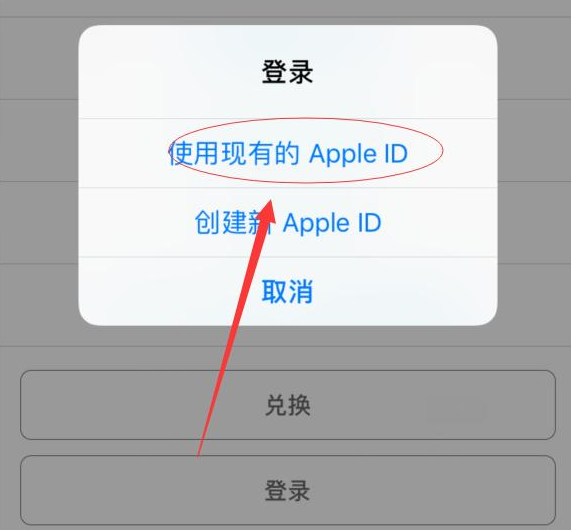 偃师苹果手机维修分享两台iPhone设备可以同时登录一个Apple ID吗 