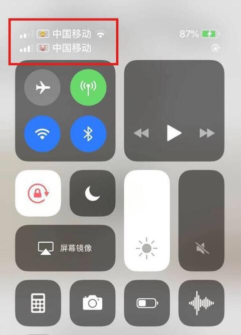 偃师苹果手机维修分享为 iPhone 12 双卡设置标签 